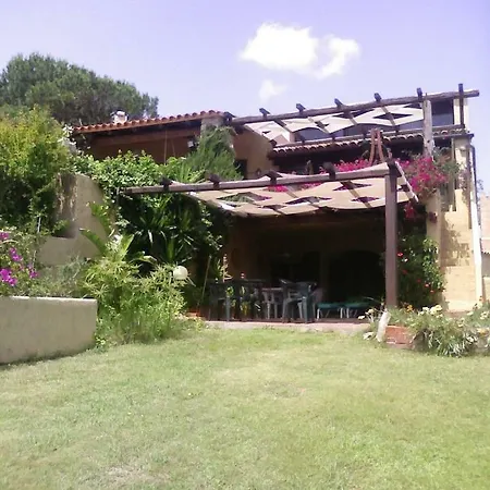Palma Villa La Maddalena (Sassari)